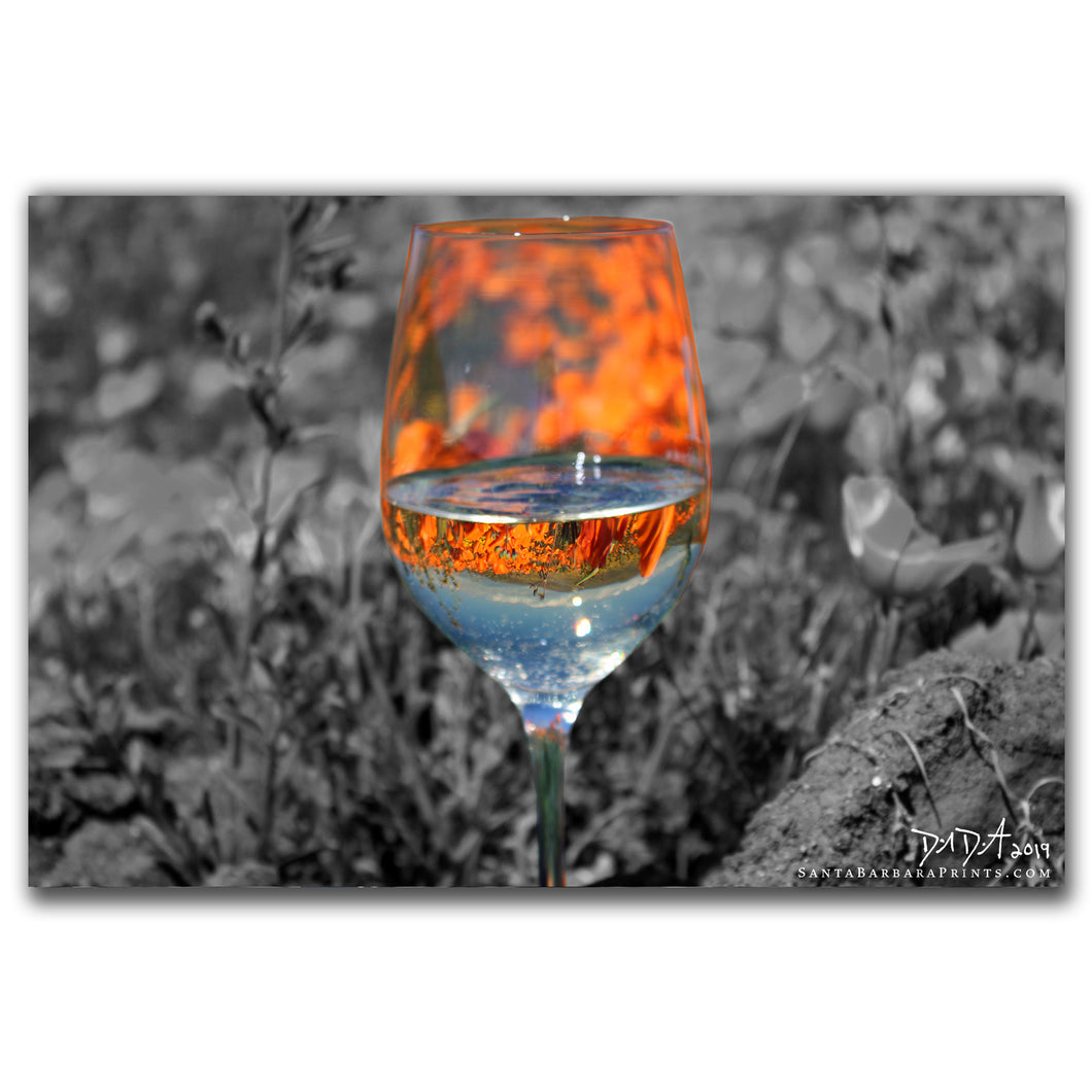 Wineglasses - 17, Antelope Valley