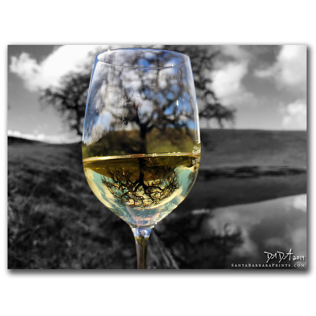 Wineglasses - 22, Armour Ranch Road