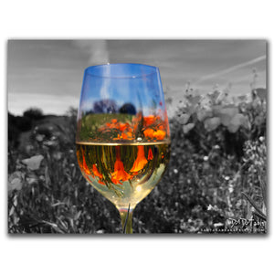 Wineglasses - 28, Carrizo Plain