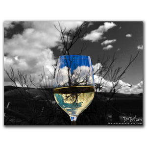 Wineglasses - 32, Santa Maria Valley
