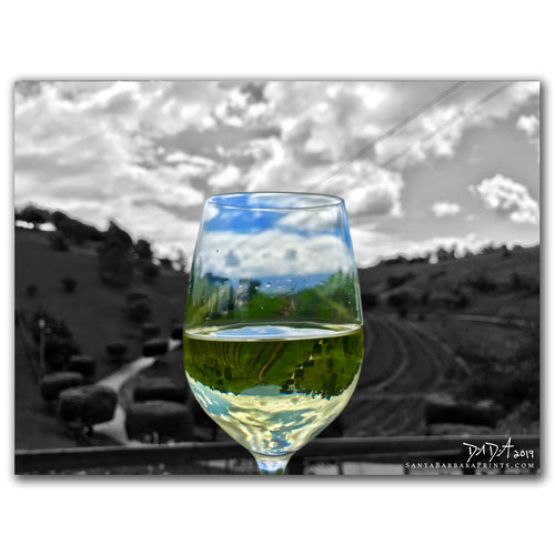 Wineglasses - 8, Ballard Canyon